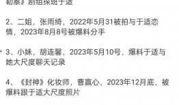 娱乐爆料于适,于适最新动态揭秘，神秘事件引关注