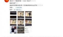 深圳头条胡小姐爆料视频,揭秘事件背后真相