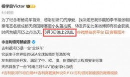 吉利高管爆料最新消息,揭秘新能源汽车产业未来趋势与挑战