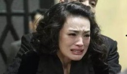 舒淇爆料娱乐圈,真实与虚假的交织