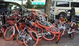 郑州自行车爆料视频大全,街头风云录