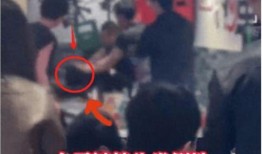 四川爆料者道歉事件视频,真相与反思