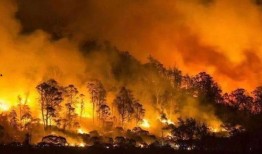 澳洲大火的最新爆料,最新爆料揭示惊人真相！”