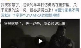 大连渣男爆料案件视频,揭秘情感欺诈背后的真相