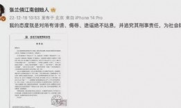爆料芳姐说真话视频大全