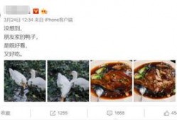 爆料鸭子的视频,一场视觉与真相的碰撞