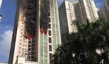 深圳爆料新闻去哪里看到,揭秘最新热点事件，尽在本期资讯汇总