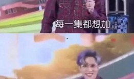 薛之谦早期被爆料视频,揭秘背后的真相与争议