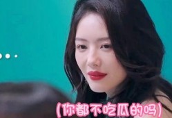 网红蔡文静吃瓜事件,揭秘网红圈内的真实风波