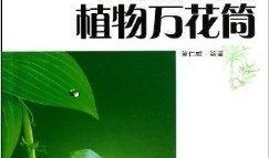 青少年植物人技能爆料视频,视频爆料背后的惊人真相