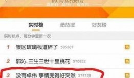 卓伟最新爆料达人图片,达人图片曝光，揭秘背后惊人真相！