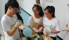 青少年植物人技能爆料视频,视频爆料背后的惊人真相