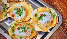 爆料扇贝测评视频大全下载,视频大全下载解析