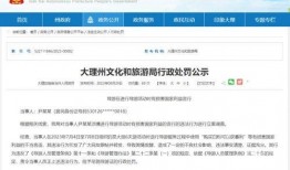 深圳李先生最近爆料视频,揭秘背后惊人真相！