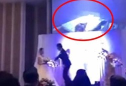 福建新郎爆料视频大全集,揭秘婚礼现场幕后趣事