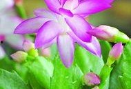 徐先生最新爆料新闻,揭秘娱乐圈最新劲爆新闻