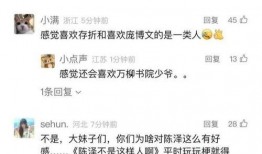 网红陈泽爆料视频大全,揭秘幕后真相与热点事件
