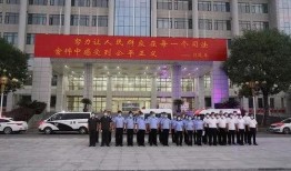 爆料霸州四院事件视频,真相与争议交织