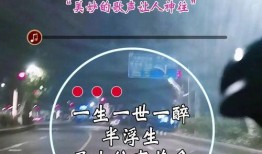 热点爆料情感音乐视频,观众泪目不已
