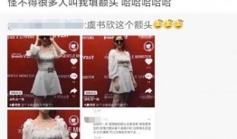 娱乐圈爆料书语,揭秘明星背后的秘密与真相