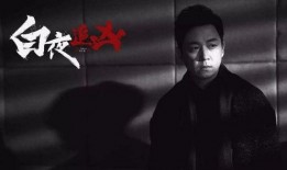 白夜追凶在线观看,黑白交织的悬疑世界，揭秘犯罪背后的真相