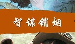 智谋销烟在线观看免费,揭秘历史风云中的智慧之战