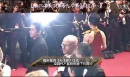 天注定在线观看,命运交织的悲喜人生