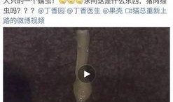 近日厦门网友爆料视频播放,一幕幕惊心动魄瞬间