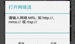 爆料视频语音播放软件,爆料视频背后的秘密功能