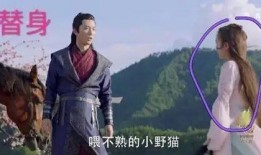 替身演员爆料是谁啊视频,揭秘幕后的真实故事
