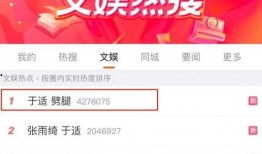 娱乐爆料于适,于适最新动态揭秘，神秘事件引关注