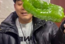 长兴网红吃瓜事件视频,一场网络热议的瓜田奇谈