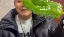 长兴网红吃瓜事件视频,一场网络热议的瓜田奇谈