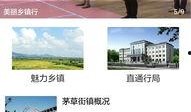 南县新闻爆料,最新爆料揭示当地热点事件