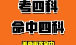 大舅英语爆料视频大全最新,视频大全中的趣味英语学习之旅