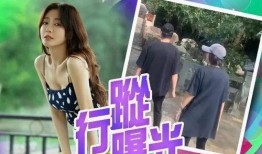 秦岚爆料杨幂视频大全集,视频大全集深度解析
