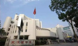 武汉图书馆爆料视频曝光,揭秘图书馆背后的故事