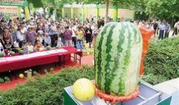 大明吃瓜王全集免费观看,宫廷风云，笑料百出，全集免费畅享
